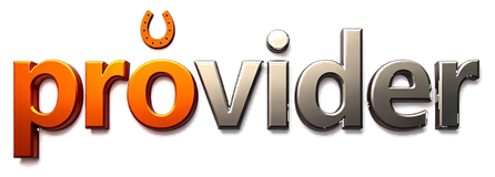 provider